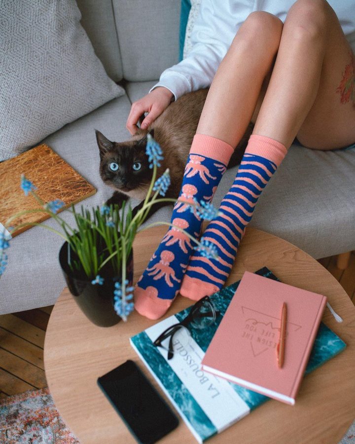 Sammy Icon - Octo socks