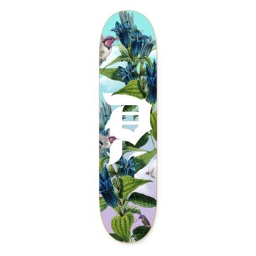 Skateboard Deck only-arkiv - Boardlife